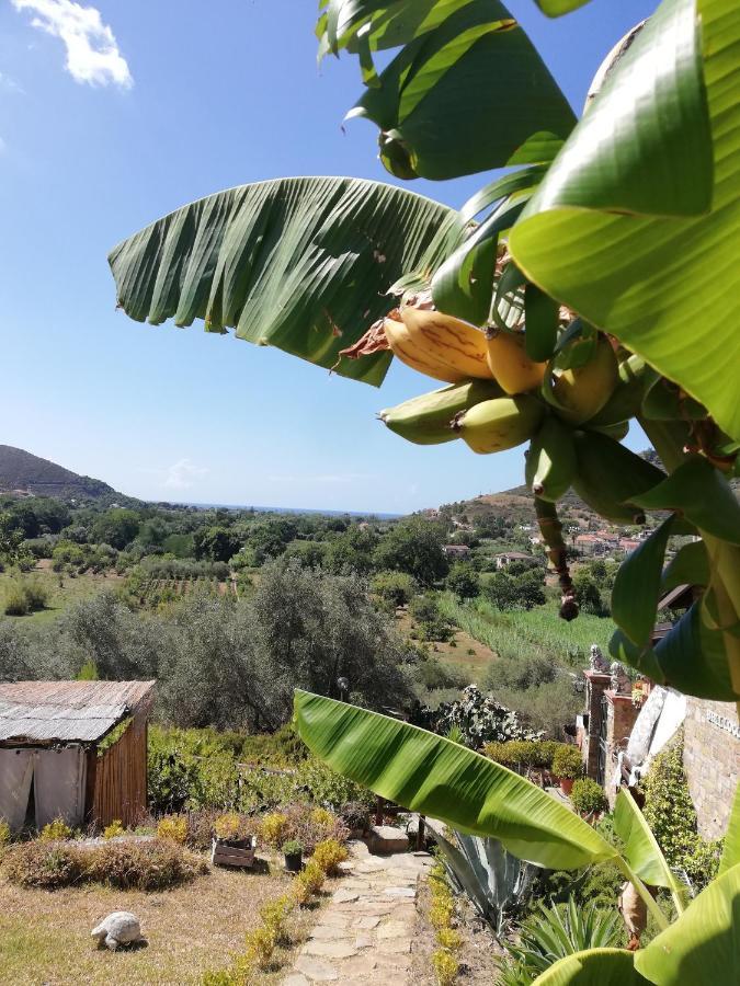 Bed and Breakfast Il Brillocco Castellabate Exteriér fotografie