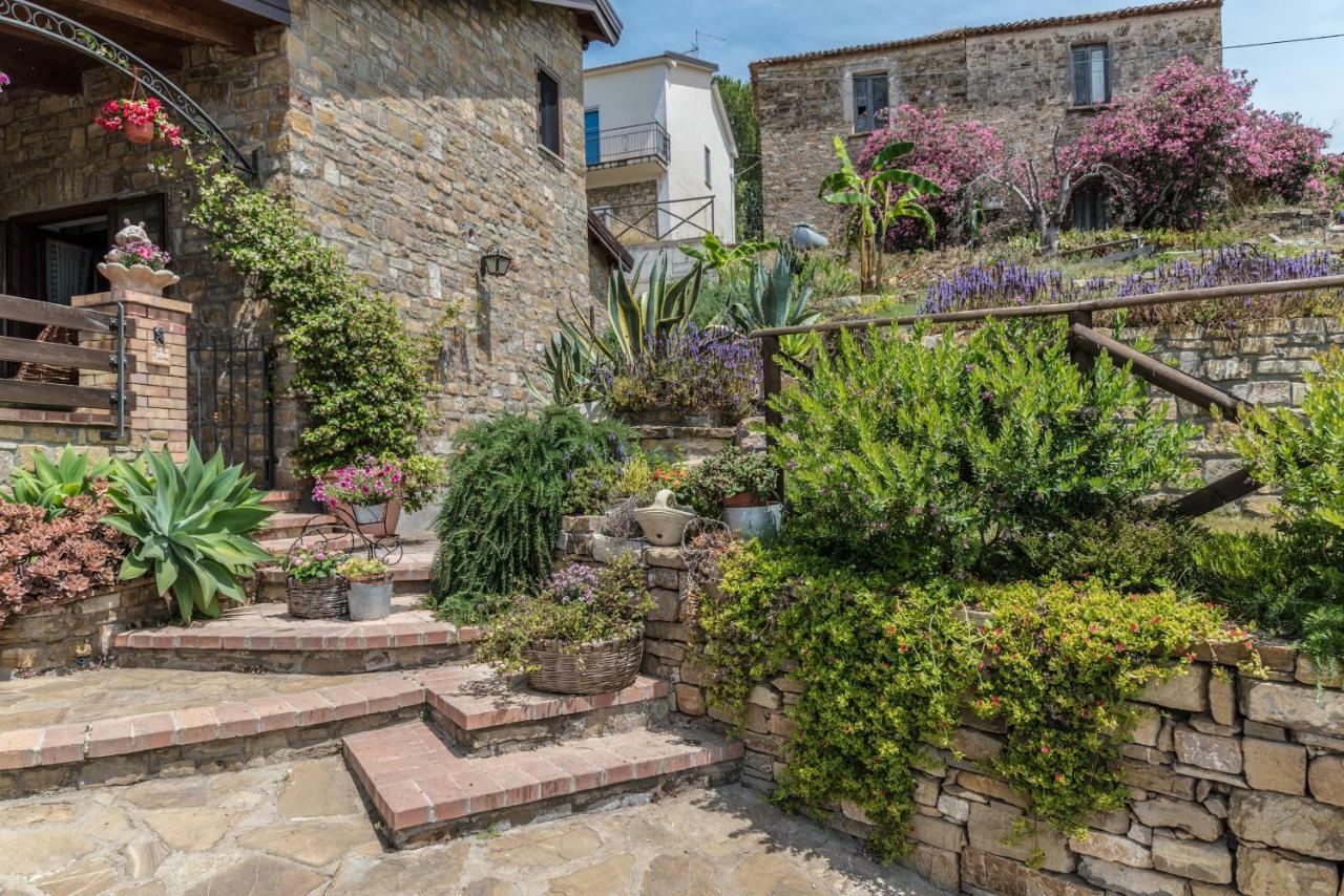 Bed and Breakfast Il Brillocco Castellabate Exteriér fotografie