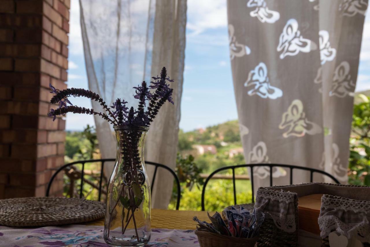 Bed and Breakfast Il Brillocco Castellabate Exteriér fotografie