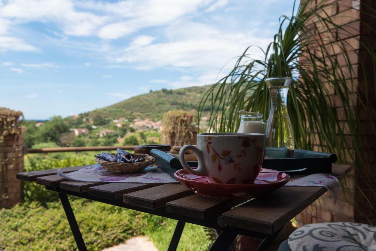 Bed and Breakfast Il Brillocco Castellabate Exteriér fotografie